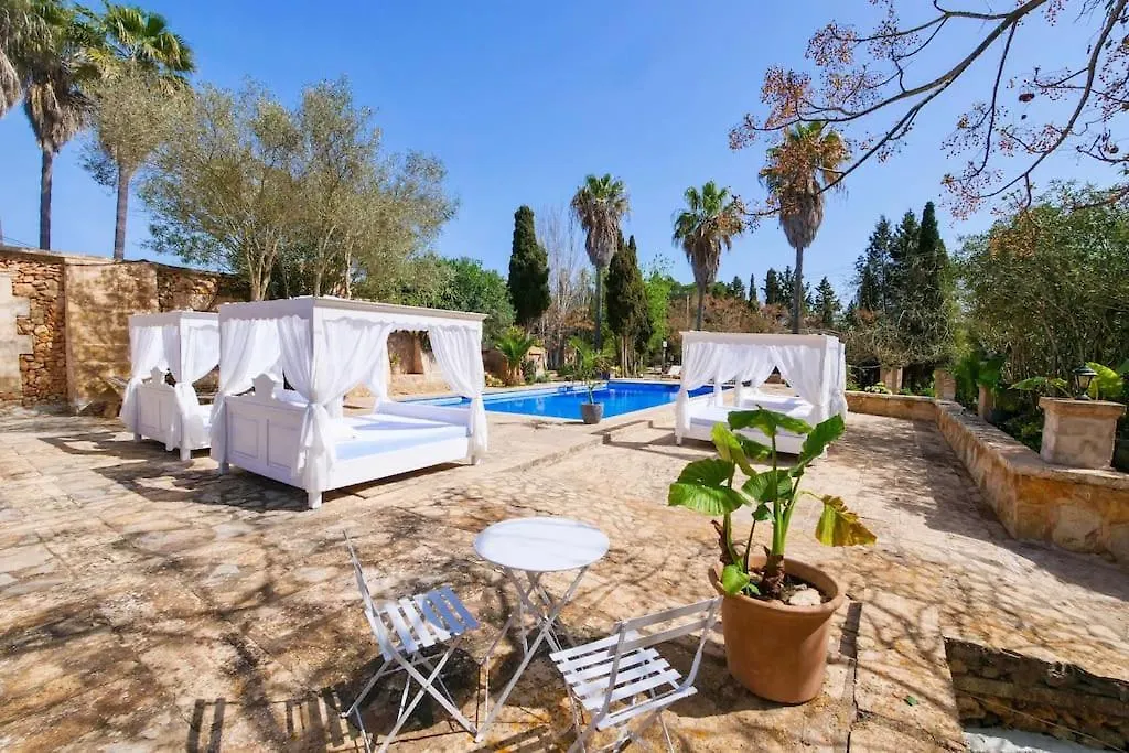 Patxo,Absolute Erholung , Stilvoll,Xxl Pool, Wifi, Apartment Manacor  Spain
