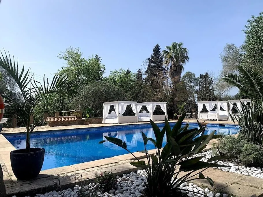 Patxo,Absolute Erholung , Stilvoll,Xxl Pool, Wifi, Apartment Manacor